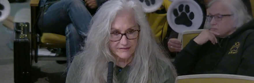 Woman with long grey hair.