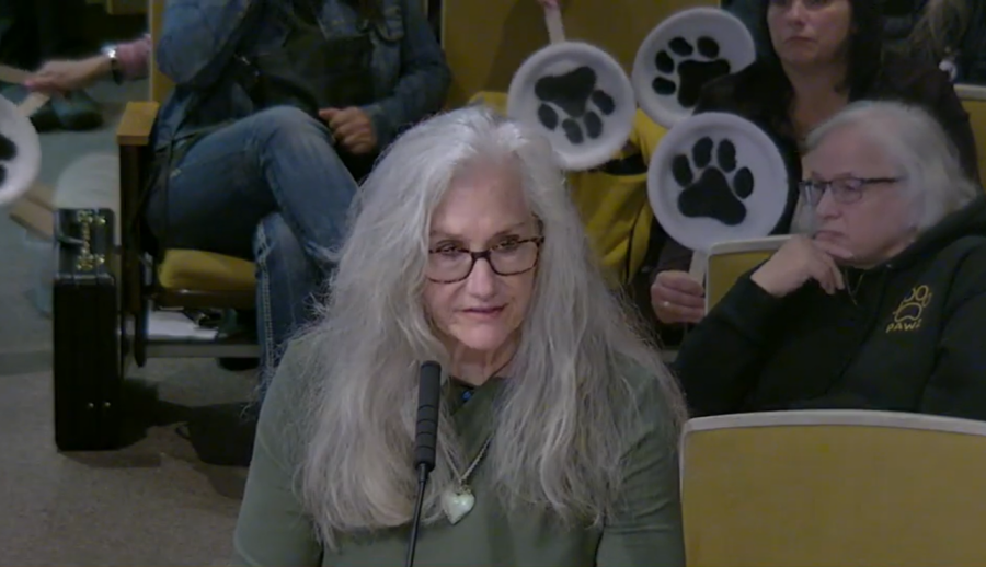Woman with long grey hair.