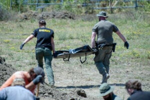 The remains of one of the animals recovered are carried away from the dig site.
