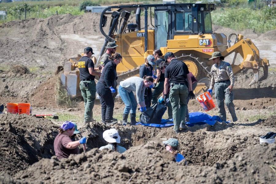 Remains of an animal are removed from the mass grave for inspection.
