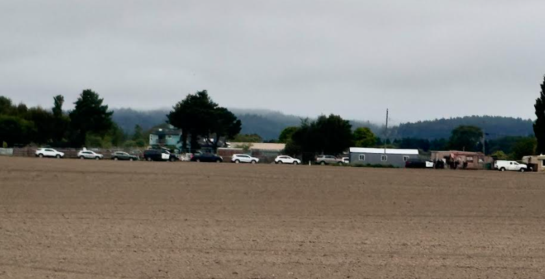 Mass number of law enforcement vehicles on the property