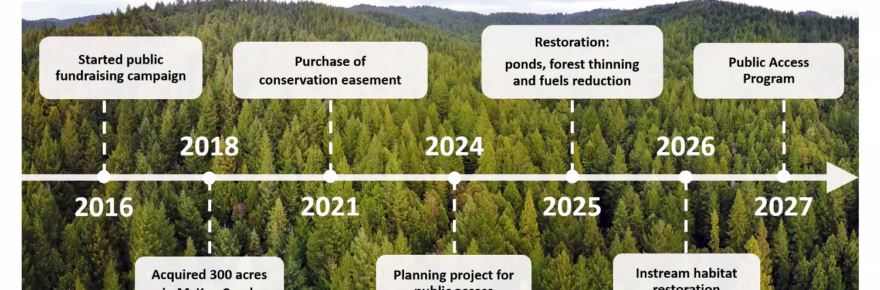 Vanauken Creek Community Forest project timeline