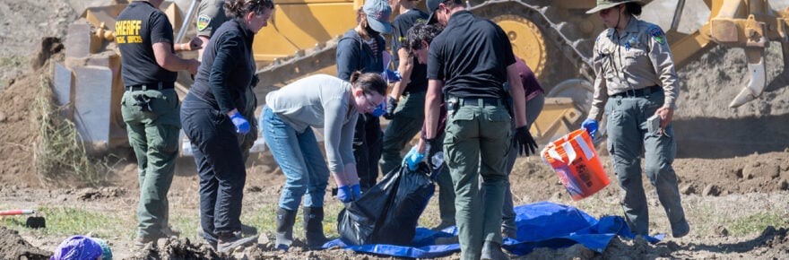 Remains of an animal are removed from the mass grave for inspection on Wednesday.