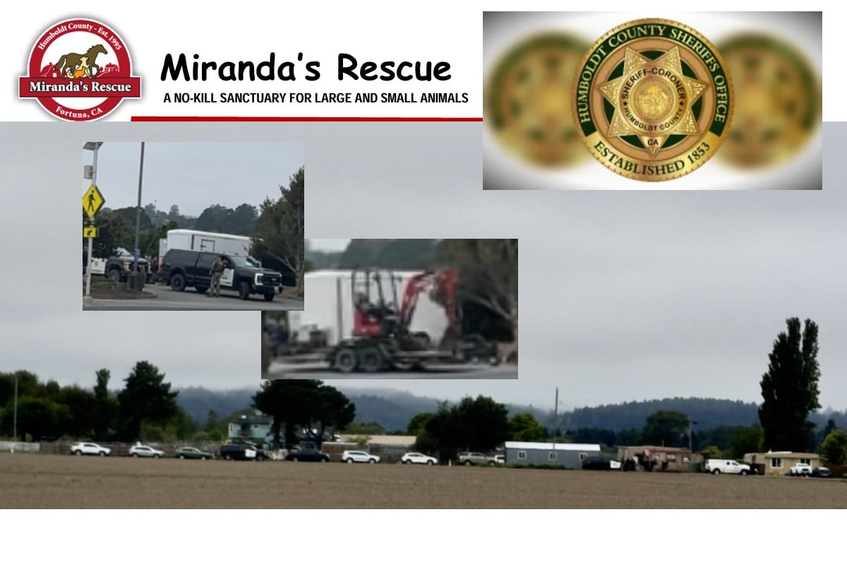 HCSO Executes New Search Warrant at Miranda's Rescue, Brings Heavy Equipment to Property