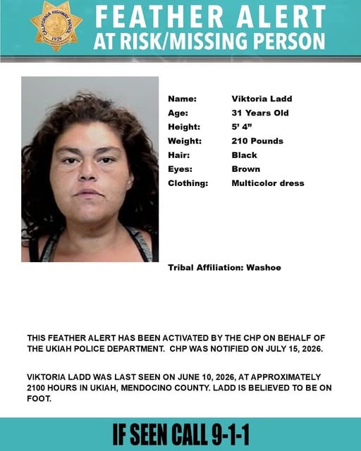 Feather alert missing poster